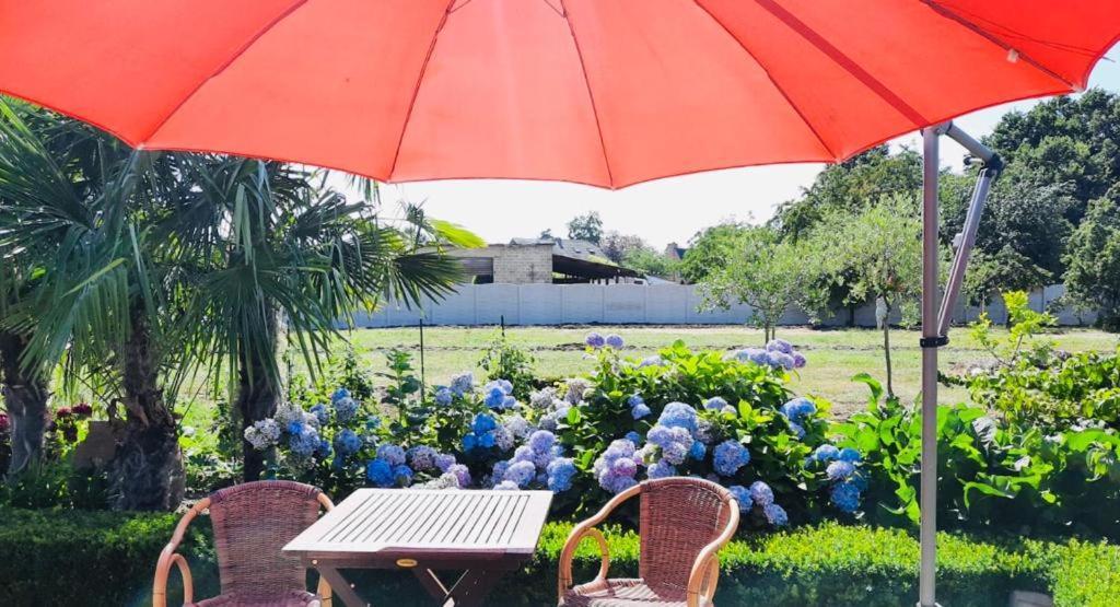 B&B Casa Roman & Vakantiewoning Voor 1 Pers Tot Max 32 Personen Zonhoven Exterior foto