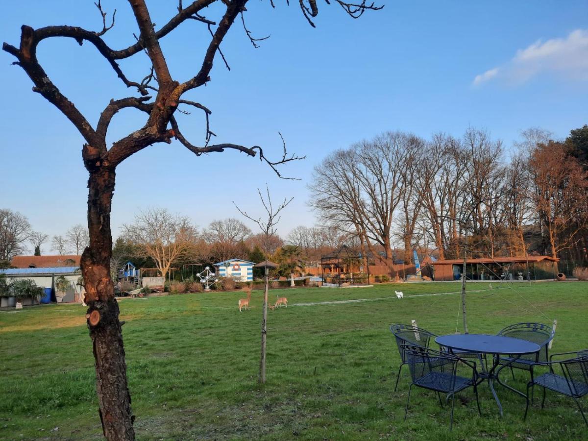 B&B Casa Roman & Vakantiewoning Voor 1 Pers Tot Max 32 Personen Zonhoven Exterior foto