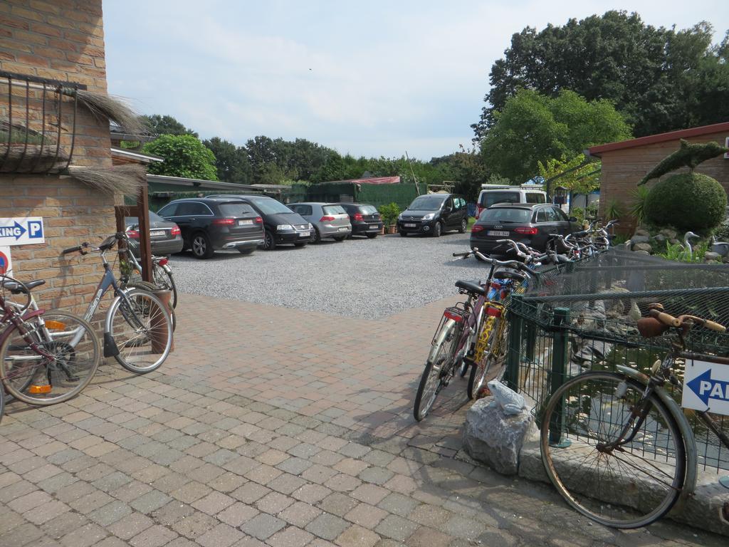 B&B Casa Roman & Vakantiewoning Voor 1 Pers Tot Max 32 Personen Zonhoven Exterior foto